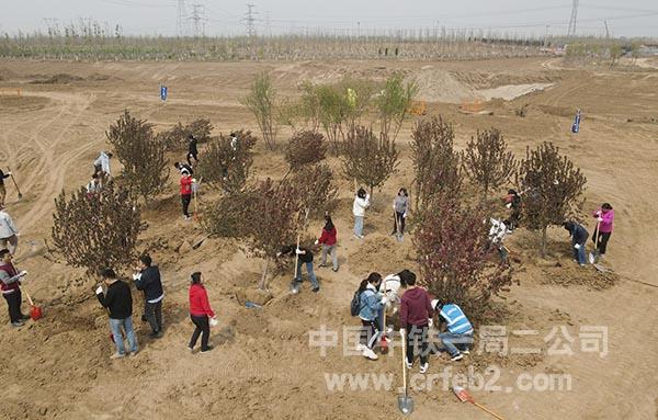 师生林间植树