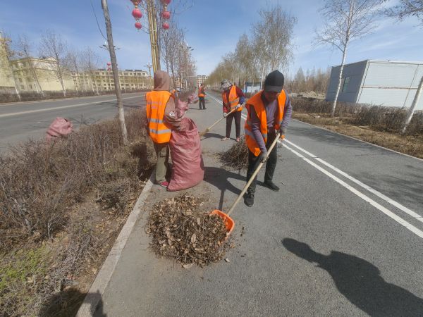 环卫工人正在将绿化带落叶集中处理