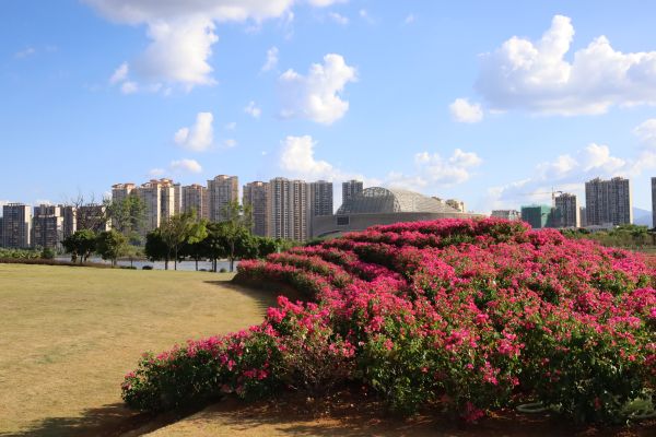 绿化亮化项目爱莲湖节点